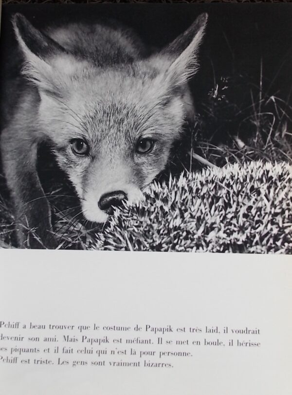 BERGMAN (Astrid) / ROY (Claude) Pchiff, le bébé renard. Lausanne, Guilde du Livre, (1956). – Image 2