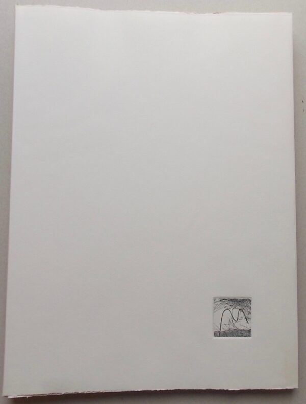 VERNAY (Eliane) & BOURQUIN (Thierry) Mots laineux. Genève, Editions nomades, 1980. – Image 2
