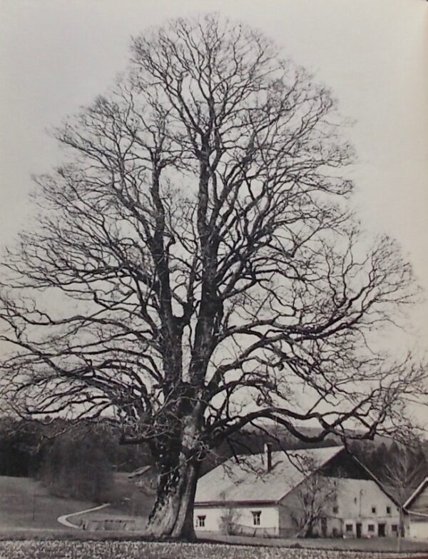 LANDRY (C.-F.) Jura, continent secret. La Chaux-de-Fonds, Haefeli & Co, 1957. – Image 4