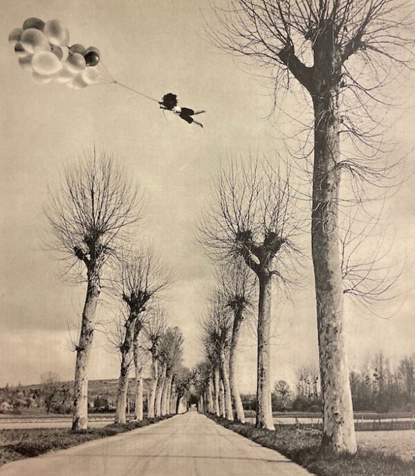 PEIRY (Alexis) / PILET (Suzi) L'opinel. Lausanne, Ed. du Cerf-Volant (coll. Les histoires d'Amadou), 1951. – Image 2