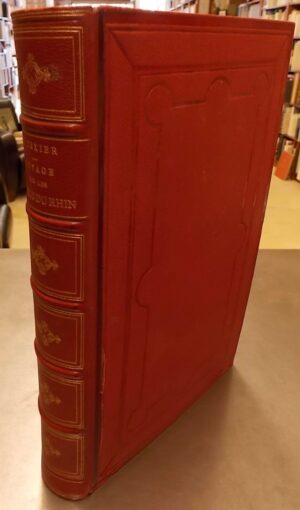 TEXIER (Edmond) Voyage pittoresque sur les bords du Rhin. Paris, Morizot, [1858].