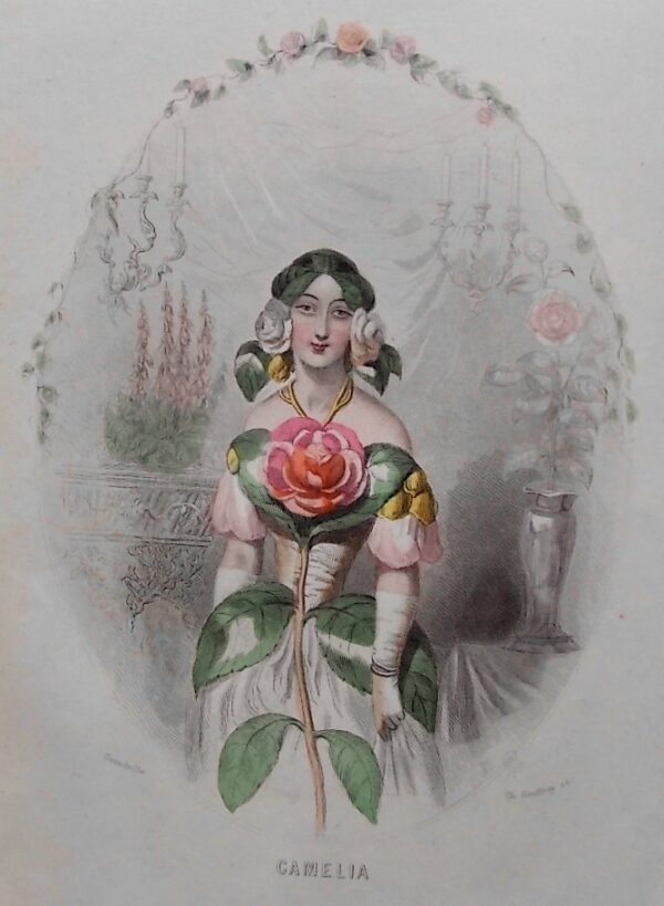 GRANDVILLE (J.-J.) - DELORD (Taxile) Les Fleurs animées. Paris, Gabriel de Gonet, (1847). – Image 5