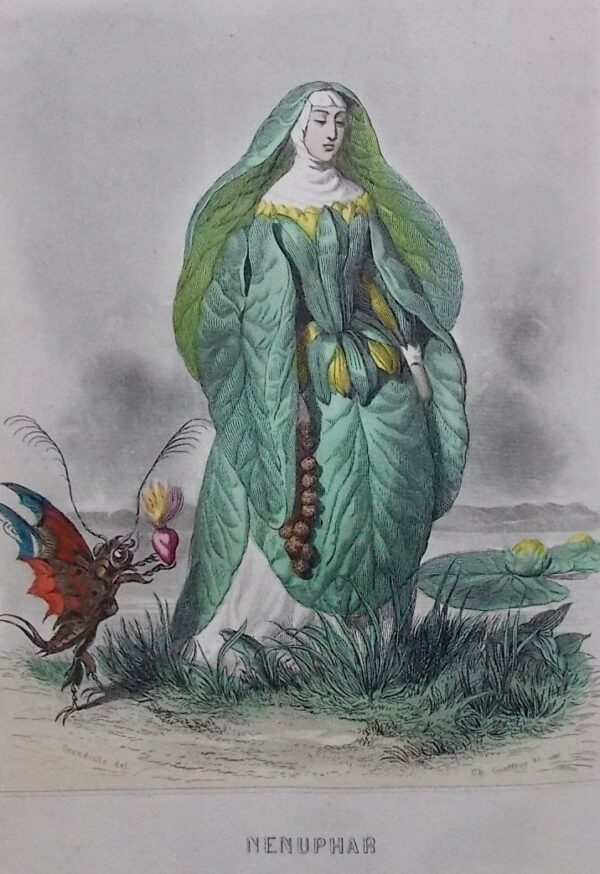 GRANDVILLE (J.-J.) - DELORD (Taxile) Les Fleurs animées. Paris, Gabriel de Gonet, (1847). – Image 7
