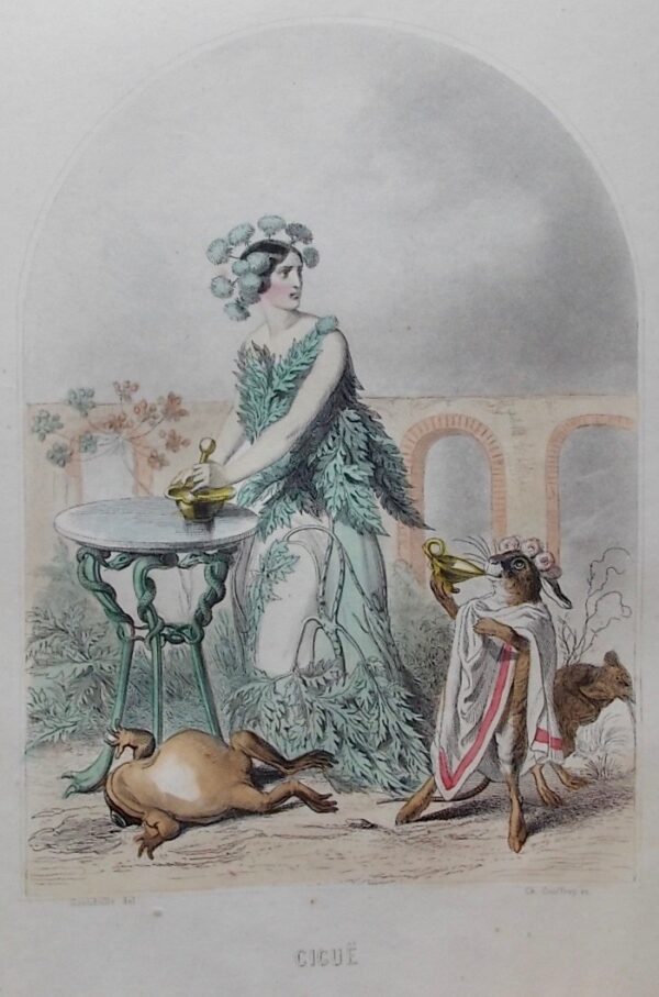 GRANDVILLE (J.-J.) - DELORD (Taxile) Les Fleurs animées. Paris, Gabriel de Gonet, (1847). – Image 9