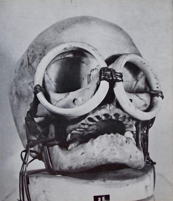GASTAUT (Henri) Le crâne. Objet de culte, objet d'art. Marseille, Musée Cantini, 1972. – Image 4