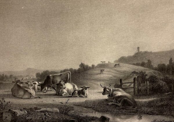 COLLECTIF Album de la Suisse romande [ou romane]. Première et deuxième année. Genève, Gruaz, 1843-1844. – Image 6