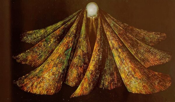 [FINI (Léonor)] - JELENSKI (Constantin) Léonor Fini. Lausanne, Clairefontaine, 1972. – Image 4