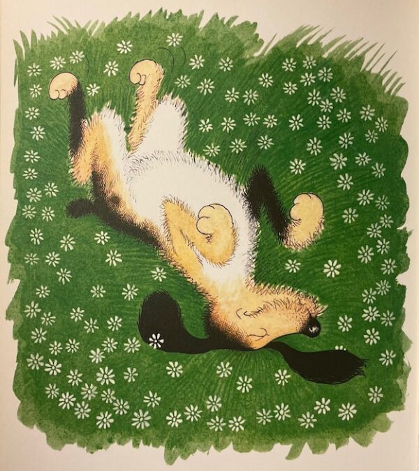 [DUBOUT] - MERY (Dr. F.) Entre chiens. Monte-Carlo, Edition du Livre, 1964. – Image 5