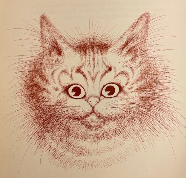 [DUBOUT] - MERY (Dr. F.) Entre chats. Monte-Carlo, Edition du Livre, 1962. – Image 4