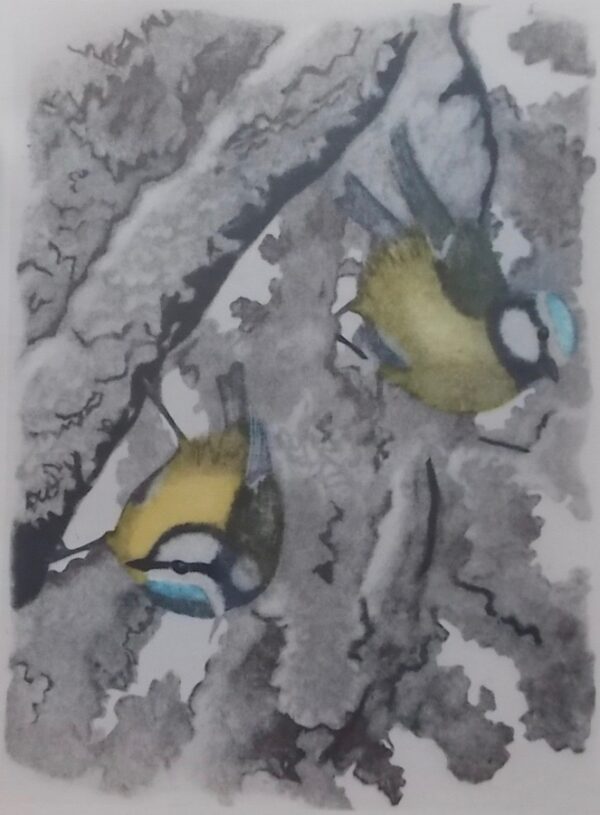 [HAINARD (Robert)] - GIOVANNA (J.-M.) Promenades aux oiseaux. Lausanne, Guilde du Livre, 1952. – Image 2