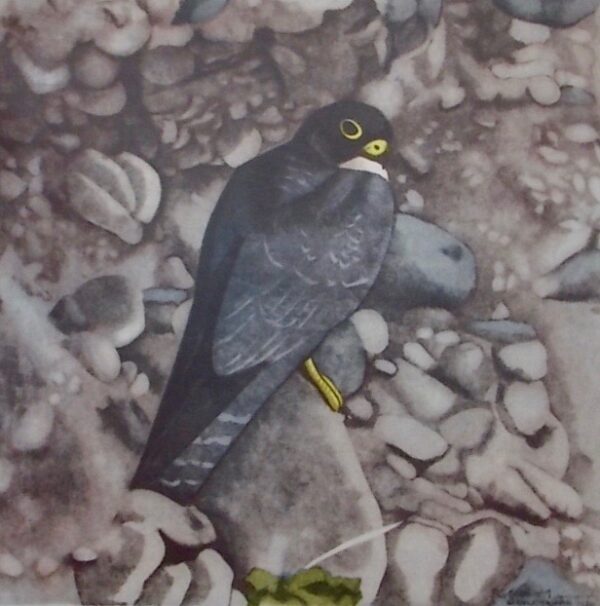 [HAINARD (Robert)] - GIOVANNA (J.-M.) Promenades aux oiseaux. Lausanne, Guilde du Livre, 1952. – Image 3