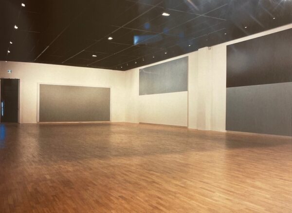 [MOSSET] Olivier Mosset. Baden, Verlag Lars Müller, 1990. – Image 4