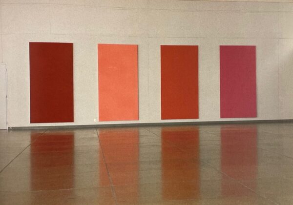 [MOSSET] Olivier Mosset. Baden, Verlag Lars Müller, 1990. – Image 5
