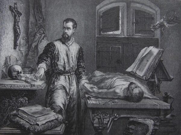 BERNARD (Claude) & HUETTE (Ch.) Précis iconographique de médecine opératoire et d'anatomie chirurgicale. Paris, Méquignon-Marvis, 1854. – Image 4