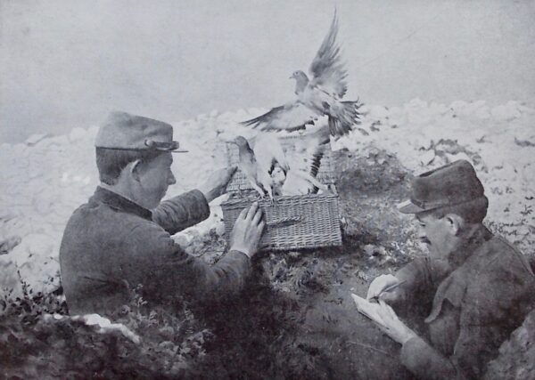 [ALBUM] L'album de la Guerre 1914 - 1919. Histoire photographique et documentaire reconstituée chronologiquement à l'aide de clichés et de dessins publiés par L'Illustration de 1914 à 1921. Paris, L'Illustration, 1929. – Image 4