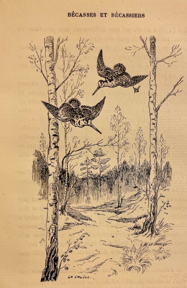 BENOIST (Georges) Bécasses et bécassiers. Anatomie - Ornithologie . Migration - Chasse. Paris, G. Ficker, 1921. – Image 4