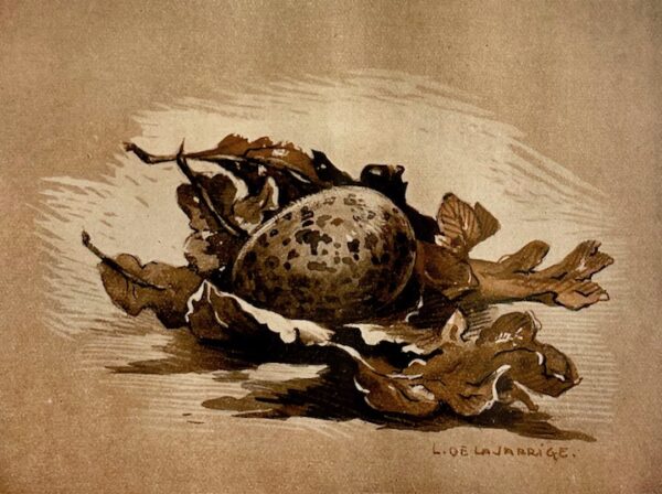 BENOIST (Georges) Bécasses et bécassiers. Anatomie - Ornithologie . Migration - Chasse. Paris, G. Ficker, 1921. – Image 5