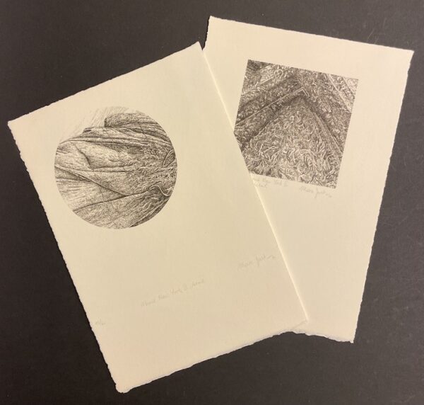 [JURT] - ACATOS (Sylvio) & TERRAPON (Michel) Marc Jurt. Gravures. Lausanne, L'Age d'Homme, 1982. – Image 6