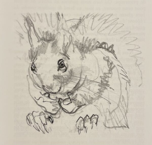 HAINARD (Robert) Les forêts sauvages. Saint-Claude-de-Diray, Editions Hesse, 2008. – Image 2