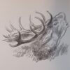 D'HUART (Fernand) Quelques feuilles mortes. Souvenirs de chasse. Paris, La Toison d'Or, 1953. – Image 4