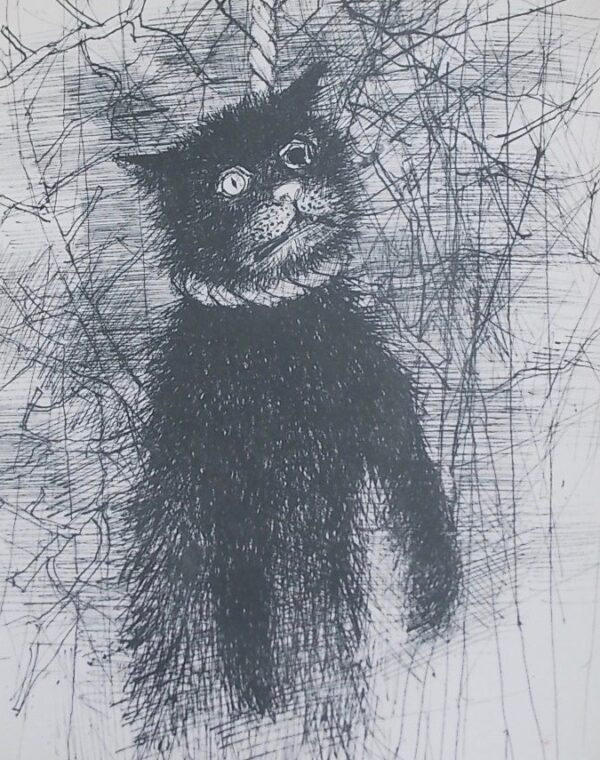 POE (Edgar Allan) Trois histoires extraordinaires. Le chat noir - La chute de la Maison Uscher - Le puits et le pendule. Paris, LCL (coll. Les Peintres du Livre), 1966. – Image 3