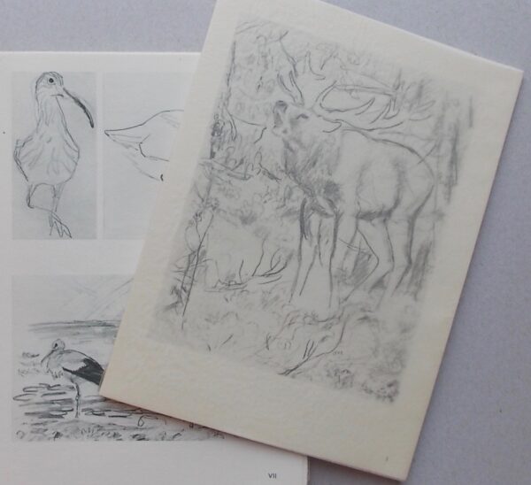 HAINARD (Robert) Nature et mécanisme. Neuchâtel, Griffon (coll. Les problèmes de la philosophie des sciences), 1946. – Image 6