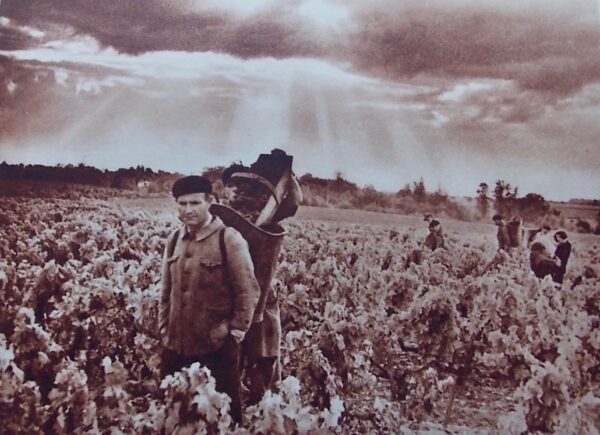 LAFFORGUE (Germain) Le vignoble girondin. Paris, Louis Larmat, 1947. – Image 3