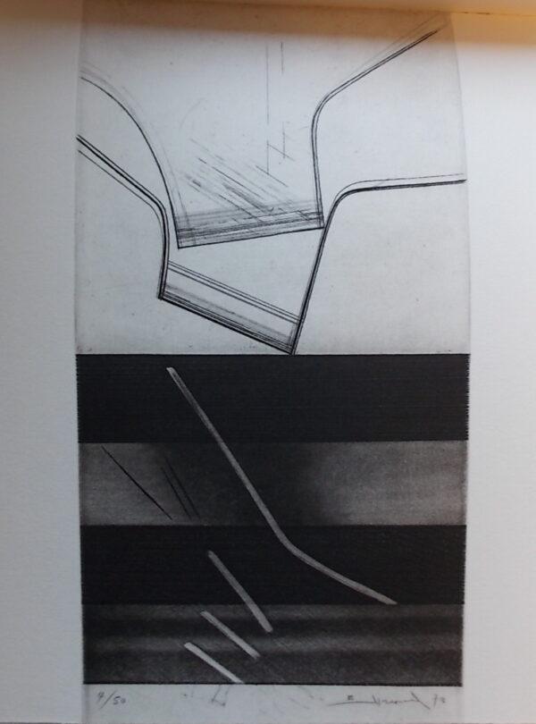 FEYDER (Vera) Passionnaire. Sans lieu, Editions Numaga, 1974. – Image 5