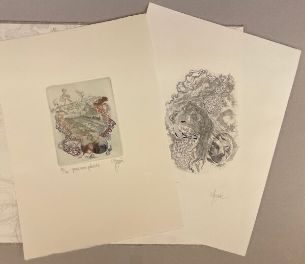 [YERSIN] - SIMECEK (Françoise) Catalogue raisonné de l'oeuvre gravé et lithographié de A.-E. Yersin. Lausanne, Françoise Simecek  et la Fondation William Cuendet & Atelier de Saint-Prex, 1983. – Image 5