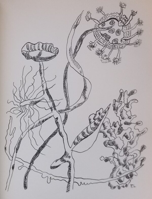 RIMBAUD (Arthur) Les illuminations. Lausanne, Grosclaude - Editions des Gaules, 1949. – Image 3