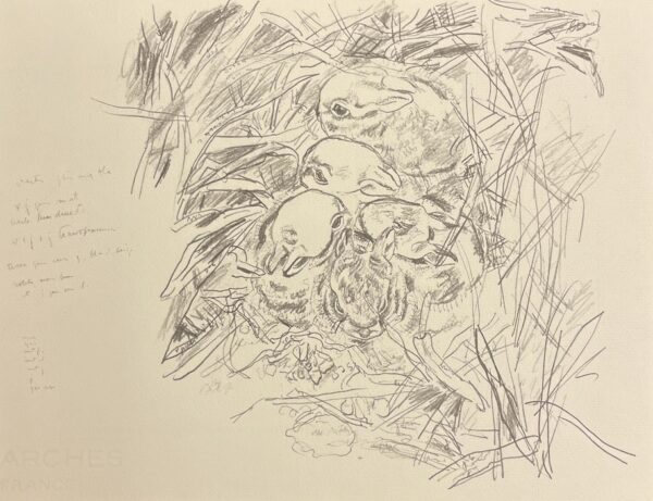 HAINARD (Robert) Croquis de terrain. Lausanne, Payot, 1975. – Image 4