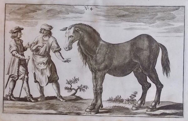 WINTER (George-Simon) [Georg Simon] Tractatio nova et auctior de re equaria complectens partes tres. - Neuer und vermehrter Tractat von der Stuteren oder fohlenzucht / Trattato nuovo e aumentato del far la razza di cavalli / Traité nouveau et augmenté pour faire race de chevaux. Nuremberg, Wolfgang Moritz Endtern, 1703. – Image 4