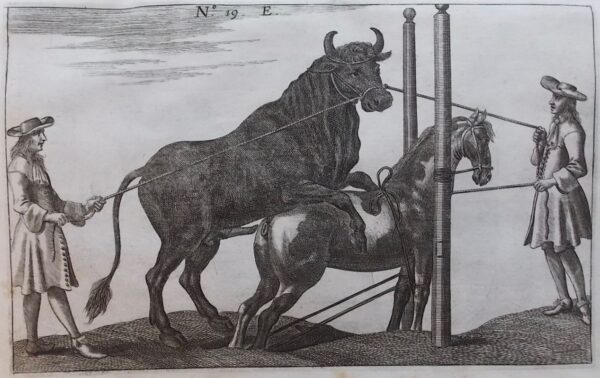 WINTER (George-Simon) [Georg Simon] Tractatio nova et auctior de re equaria complectens partes tres. - Neuer und vermehrter Tractat von der Stuteren oder fohlenzucht / Trattato nuovo e aumentato del far la razza di cavalli / Traité nouveau et augmenté pour faire race de chevaux. Nuremberg, Wolfgang Moritz Endtern, 1703. – Image 8