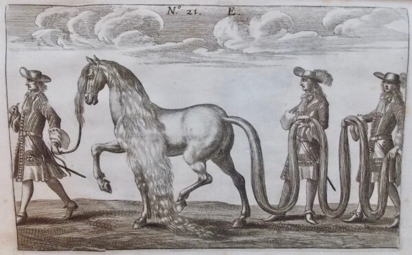 WINTER (George-Simon) [Georg Simon] Tractatio nova et auctior de re equaria complectens partes tres. - Neuer und vermehrter Tractat von der Stuteren oder fohlenzucht / Trattato nuovo e aumentato del far la razza di cavalli / Traité nouveau et augmenté pour faire race de chevaux. Nuremberg, Wolfgang Moritz Endtern, 1703. – Image 9