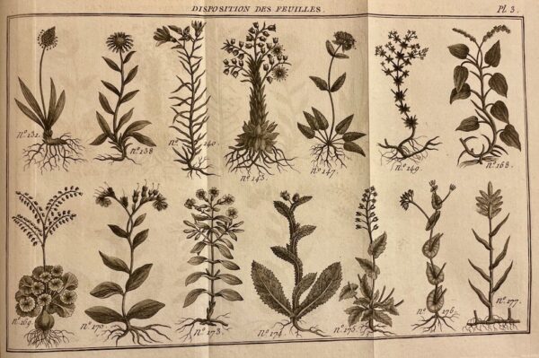 LAMARCK (Jean-Baptiste de) Flore françoise, ou description succinte de toutes les plantes qui croissent naturellement en france. A Paris, Chez H. Agasse, L'an 3e de la République [1794].