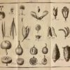 LAMARCK (Jean-Baptiste de) Flore françoise, ou description succinte de toutes les plantes qui croissent naturellement en france. A Paris, Chez H. Agasse, L'an 3e de la République [1794]. – Image 3