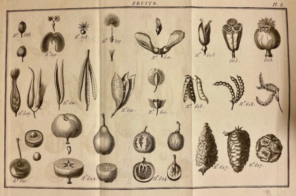 LAMARCK (Jean-Baptiste de) Flore françoise, ou description succinte de toutes les plantes qui croissent naturellement en france. A Paris, Chez H. Agasse, L'an 3e de la République [1794]. – Image 3