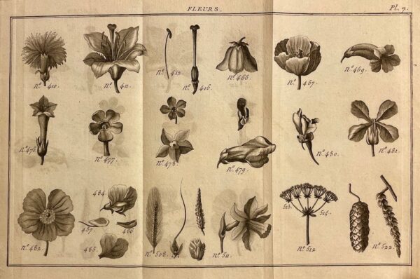 LAMARCK (Jean-Baptiste de) Flore françoise, ou description succinte de toutes les plantes qui croissent naturellement en france. A Paris, Chez H. Agasse, L'an 3e de la République [1794]. – Image 5