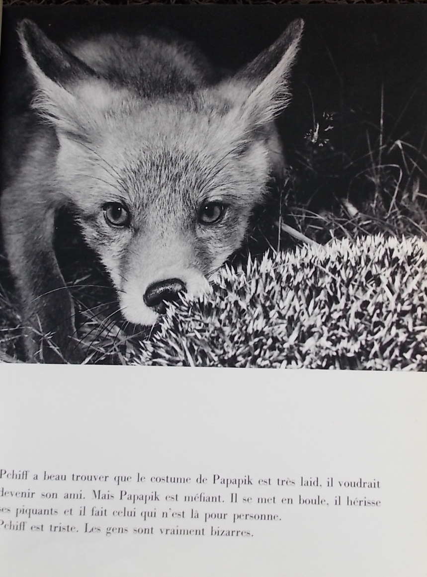 BERGMAN (Astrid) / ROY (Claude) Pchiff, le bébé renard. Lausanne, Guilde du Livre, (1956). – Image 2