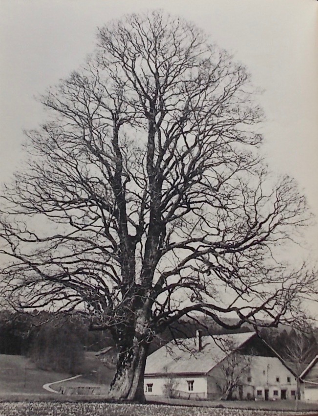 LANDRY (C.-F.) Jura, continent secret. La Chaux-de-Fonds, Haefeli & Co, 1957. – Image 4