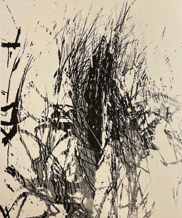 CHAPPUIS (Pierre) & GRINDAT (Henriette) Lignes mouvantes, précédé de Ailleurs ici. Lutry, Editions d'Orzens, 1984. – Image 4