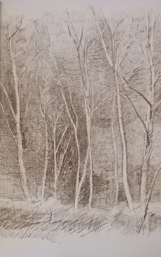 CHAPPAZ (Maurice) Verdures de la nuit - Les grandes journées de printemps - Testament du Haut-Rhône - Office des morts - Tendres campagnes. Lausanne, Cahiers de la Renaissance Vaudoise, 1967. – Image 4