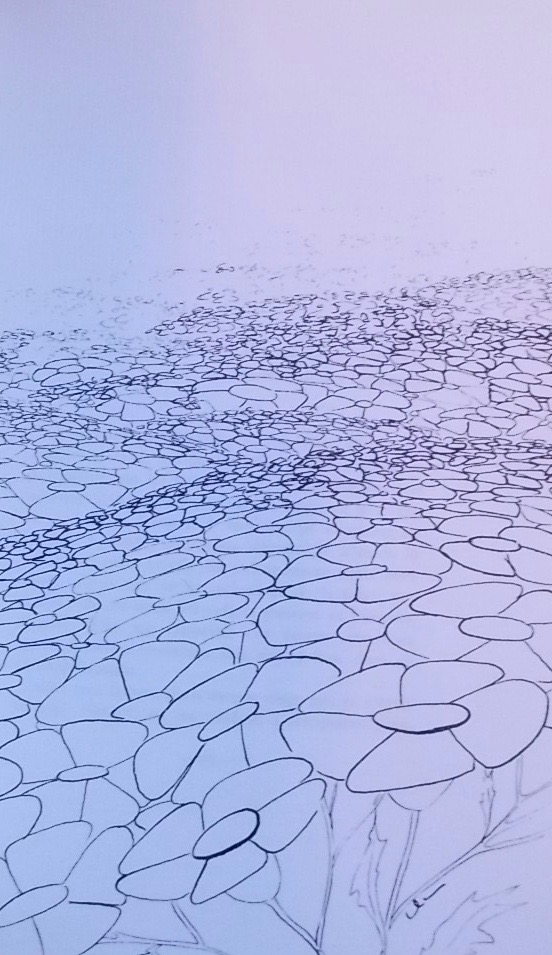 BILLE (S. Corinna) Abîme des fleurs, trésors des pierres. Récits du Rhône et de la Maggia. Briançon, Editions Passage, 1985. – Image 3