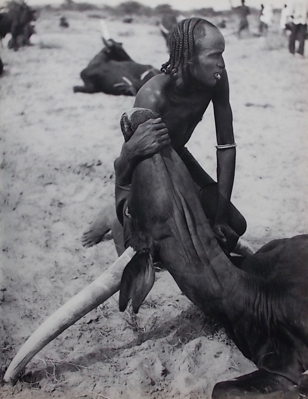 BRANDT (Henry) Nomades du soleil. Lausanne, Guilde du Livre, 1956. – Image 4