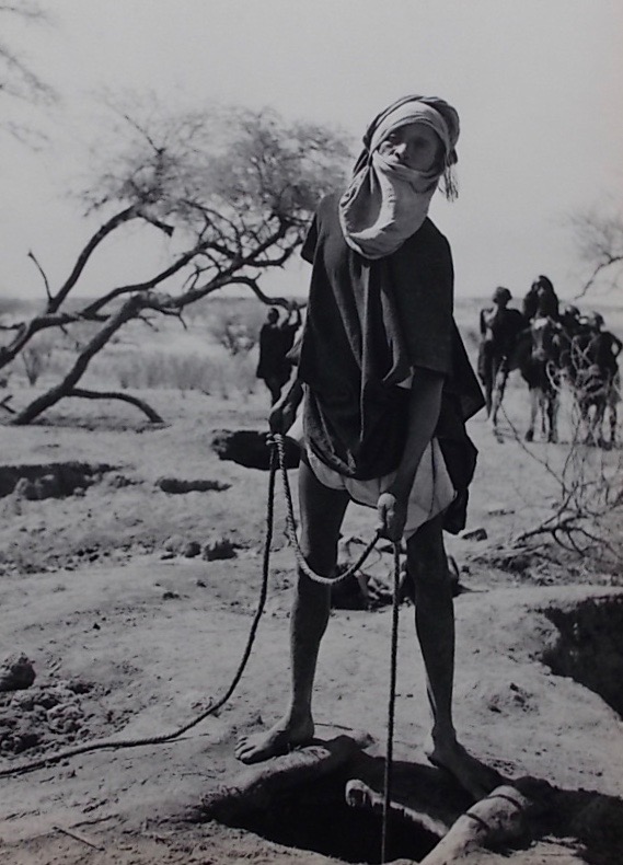 BRANDT (Henry) Nomades du soleil. Lausanne, Guilde du Livre, 1956. – Image 5