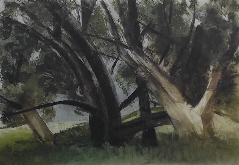 RENARD (Jules) - CHAVAZ (Albert) Une famille d'arbres (textes choisis). Lausanne, André & Pierre Gonin, 1984. – Image 4