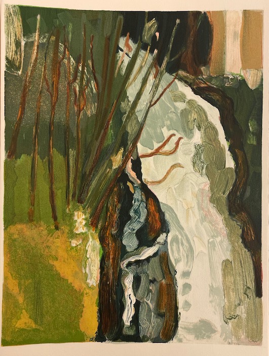 RAMUZ (Charles Ferdinand) / BORGEAUD (Georges) Chant de notre Rhône. Genève, Cediar, 1992. – Image 5