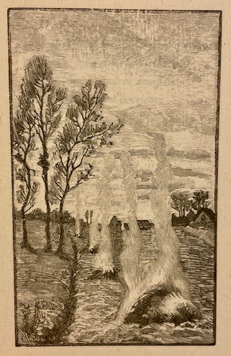 PLAN (Pierre-Paul) A côté du chemin. Genève, Charles Eggimann & Cie, 1892. – Image 4