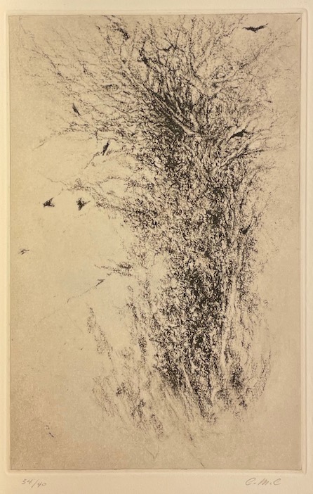 TACHE (Pierre-Alain) Autres avancées. Sans lieu, Editions Confrence, 2020. – Image 3