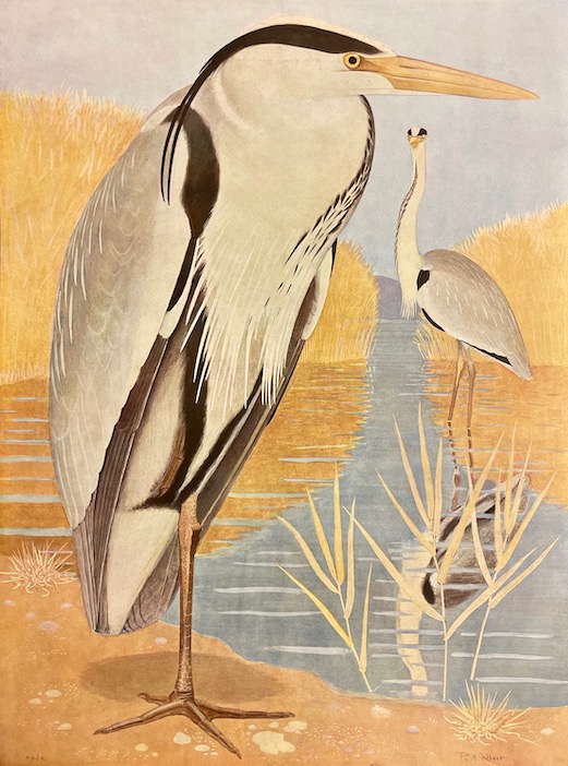 ROBERT (Léo-Paul) Les oiseaux de chez nous. Neuchâtel et Paris, Delachaux & Niestlé, 1933. – Image 6